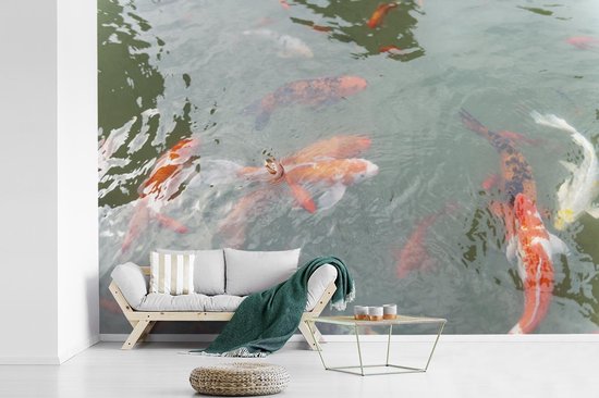 Papier peint Papier peint photo en vinyle - Un groupe de carpes koï dans un étang largeur 330 cm x hauteur 220 cm - Tirage photo sur papier peint (disponible en 7 tailles)