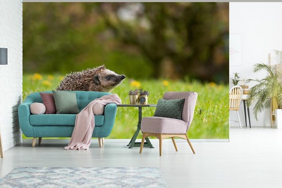 Papier peint photo peint photo vinyle - Jeune hérisson avec un pissenlit largeur 420 cm x hauteur 280 cm - Tirage photo sur papier peint (disponible en 7 tailles)