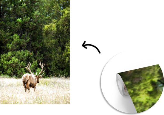 Papier peint - Papier peint photo Cerf - Herbe - Forêt - Largeur 160 cm x hauteur 240 cm
