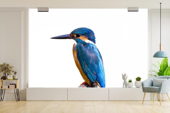 Behang - Fotobehang IJsvogel - Veren - Tak - Blauw - Breedte 330 cm x hoogte 220 cm - Nr1Wallpaper