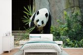 Behang - Fotobehang Panda - Boomstam - Grot - Breedte 450 cm x hoogte 300 cm