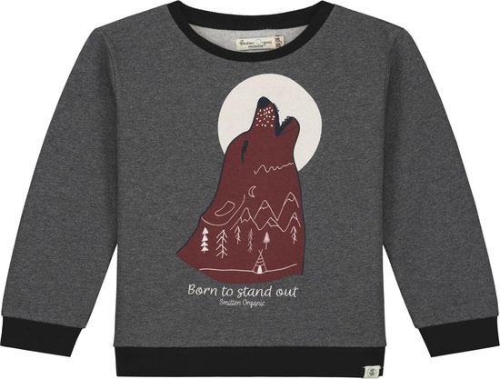 Smitten Organic Born to Stand Melange Pullover Long Sleeve