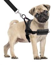 Hondentuigje - voor kleine honden - zwart - maat S - incl. schokabsorberende hondenriem - veilig en makkelijk voor baas en hond