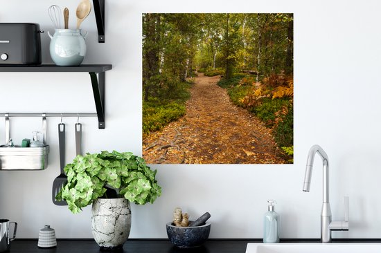 Affiche Forêt - Chemin - Automne - Feuilles - 50x50 cm