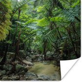 Poster Riviertje in tropische jungle - 100x100 cm XXL