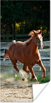 Poster Paard - Licht - Zand - 60x120 cm