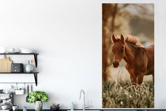 Affiche Cheval - Lumière - Prairie - 80x160 cm