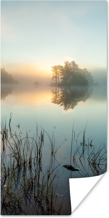 Poster Kalme morgen in het bos van Noorwegen - 75x150 cm