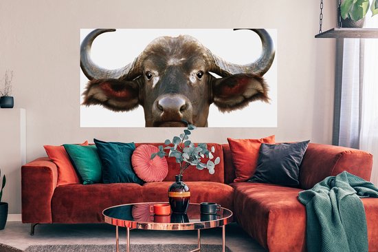 Affiche Buffalo - Buffle d'eau - Tête - Vache - Cornes - Salon - Couloir - Chambre - 160x80 cm