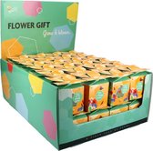 Cadeau Fleurs Buzzy Papillons et Abeilles - 48 pièces - agréable à distribuer - pot de fleurs + sachet de graines + tablette de terreau