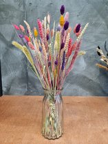 Droogbloemen - Droogboeket Livia incl. Vaas