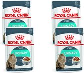 Royal Canin Fhn Urinary Care In Gravy Mp - Nourriture pour chats - 4 x (12 x 85g)