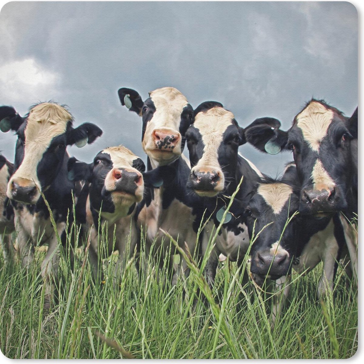 Muismat 30x30 cm - Mousepad Koe - Wolken - Gras - Dieren - Muismatten