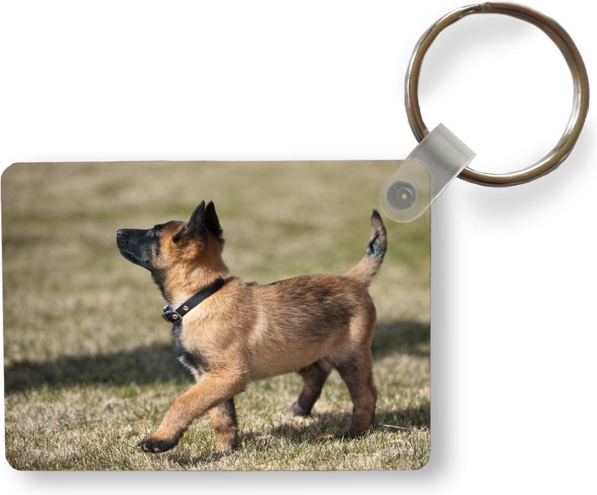 Key Herder - Porte-clés chiot mignon Malinois en plastique - porte-clés  rectangulaire... | bol