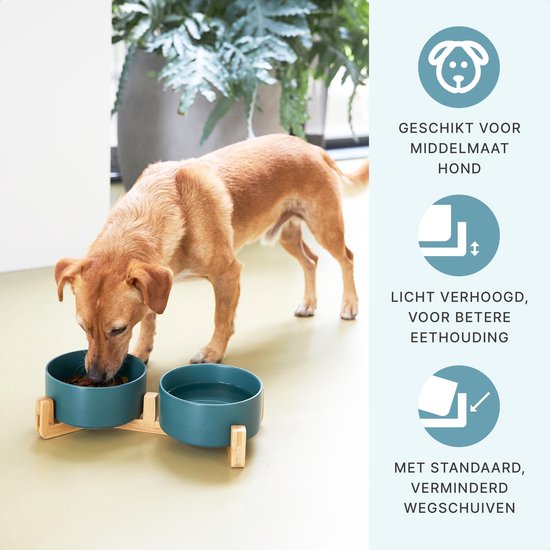 Voordracht maak je geïrriteerd voorwoord Voerbak Hond - Drinkbak - Met Bamboe Standaard - 2x 800 ml - Maat M - Groen  Mat | bol.com