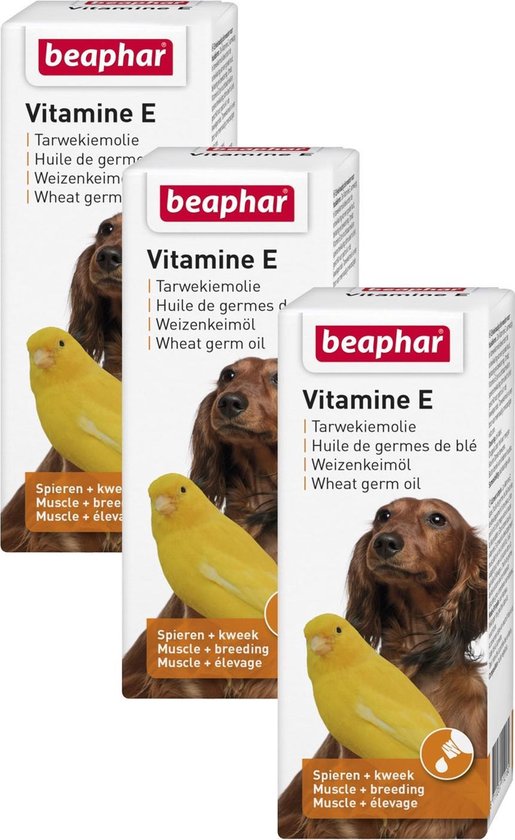 systematisch Uitvoeren tobben Beaphar Tarwekiemolie Vitamine E - Voedingssupplement - Weerstand - 3 x 100  ml | bol.com
