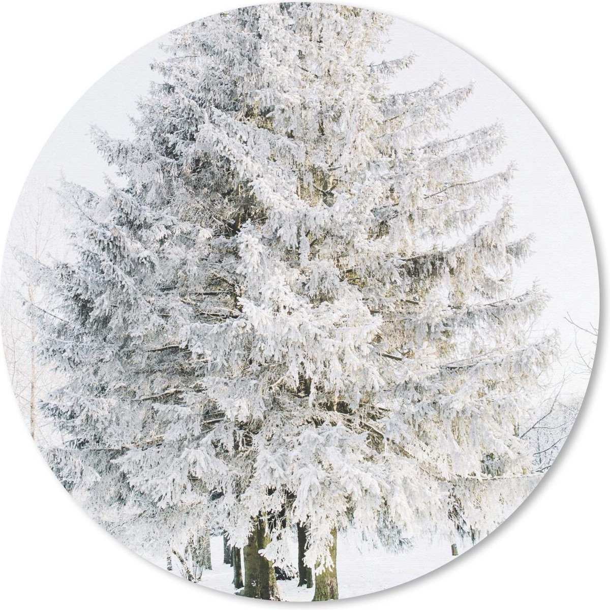 Muismat rond 20x20 cm - Mousepad Winter - Boom - Sneeuw - Den - Wit - Ronde muismatten