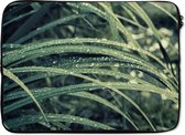 Laptophoes 14 inch - Groen botanisch gras na regenval - Laptop sleeve - Binnenmaat 34x23,5 cm - Zwarte achterkant