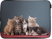 Laptophoes 15.6 inch - Kittens - Blauw - Roze - Meisjes - Kinderen - Jongens - Kind - Laptop sleeve - Binnenmaat 39,5x29,5 cm - Zwarte achterkant