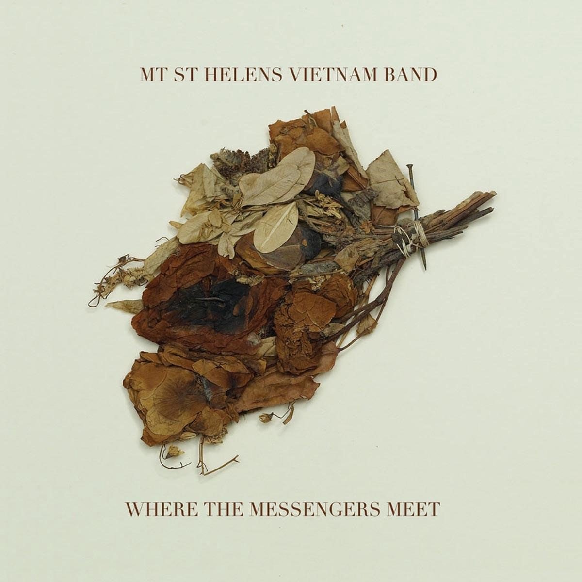 Mt. St. Helens Vietnam Band - Where The Messengers Meet (LP)