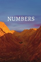 Numbers Bible Journal