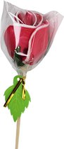 Roos lolly rood