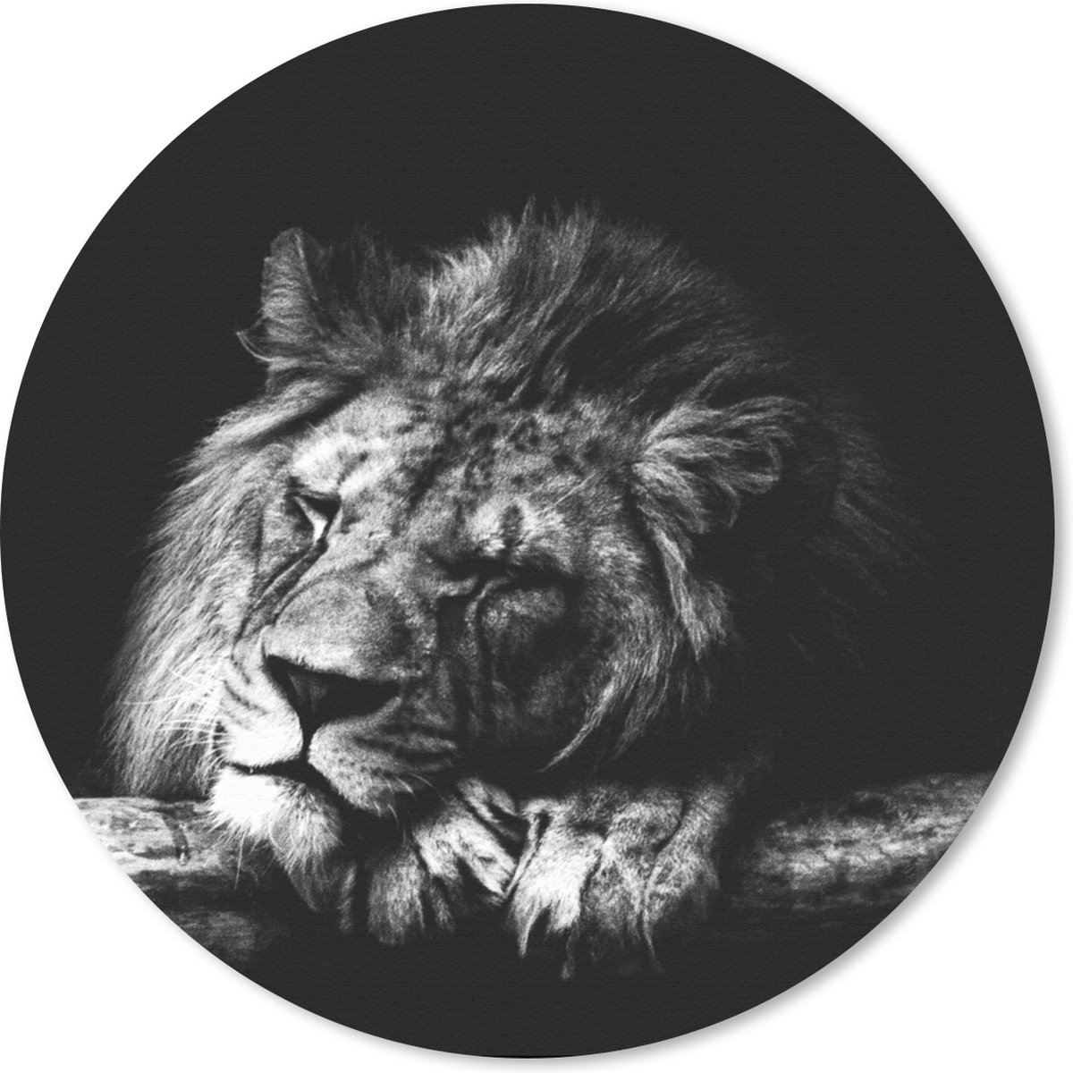 Muismat rond 30x30 cm - Mousepad Leeuw - Boom - Slapen - Zwart - Wit - Ronde muismatten