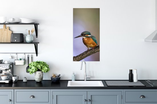 Affiche impression photo Martin-pêcheur - 40x80 cm