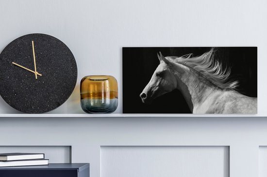 Tableau sur Toile Paarden - Animal de la Ferme - Crinière - 40x20 cm - Décoration murale