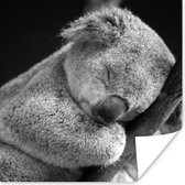 Poster Koala - Tak - Zwart - Kids- Jongens - Meisjes - 75x75 cm