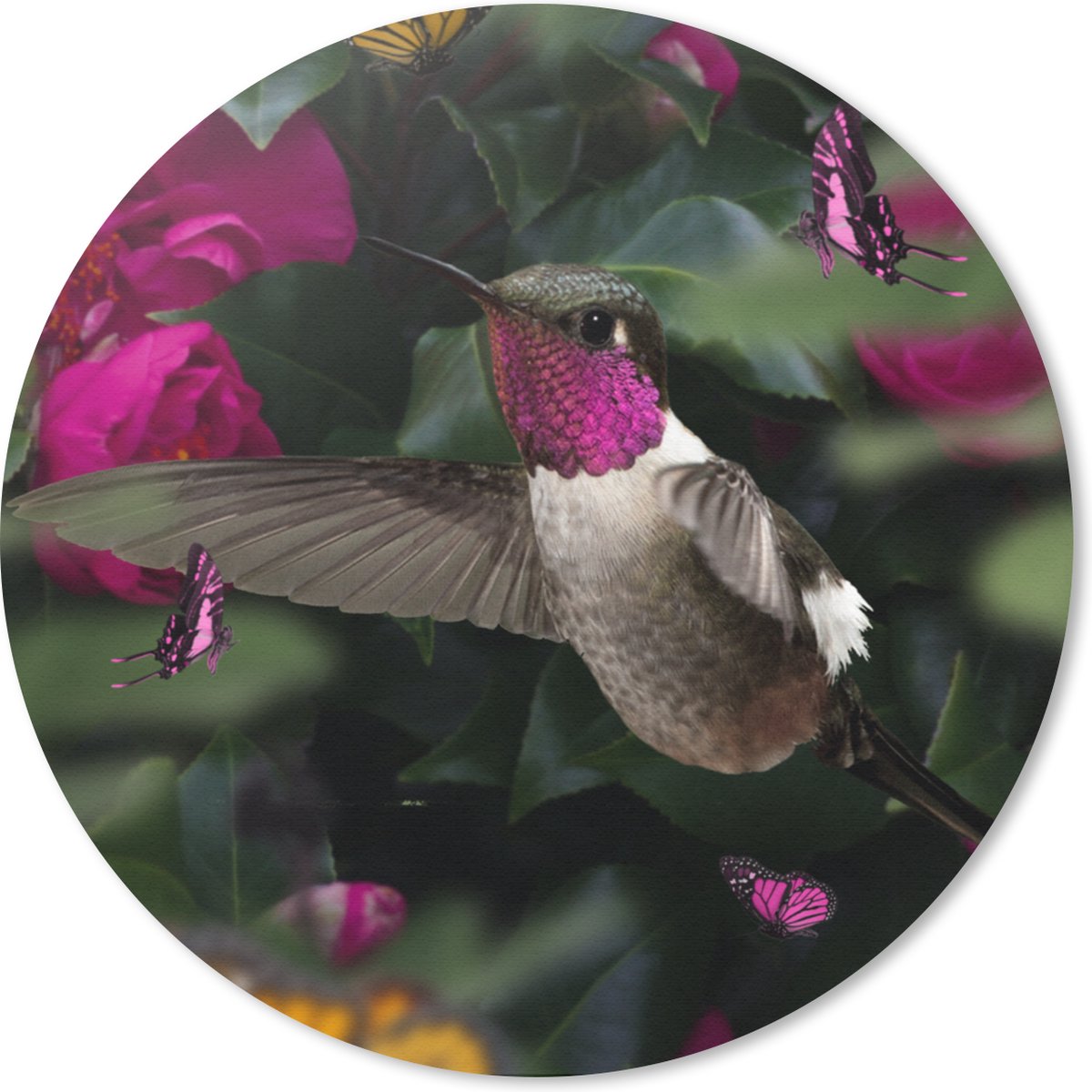 Muismat rond 20x20 cm - Mousepad Kolibrie - Roze - Vlinders - Ronde muismatten
