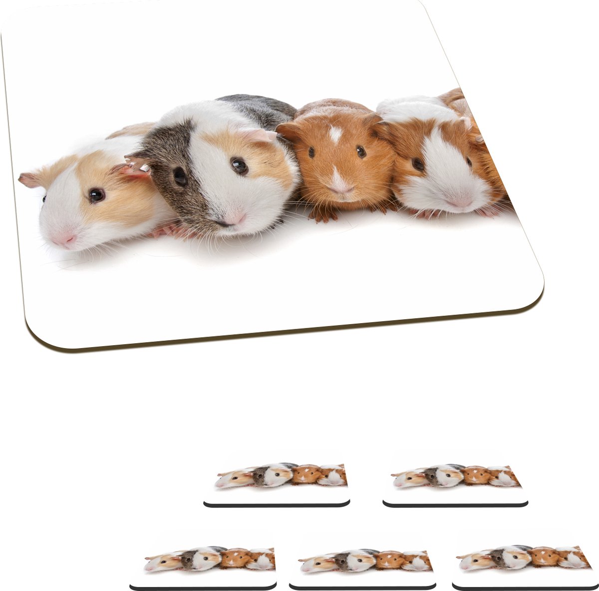 Onderzetters voor glazen - Vijf cavia's - 10x10 cm - Glasonderzetters - 6 stuks