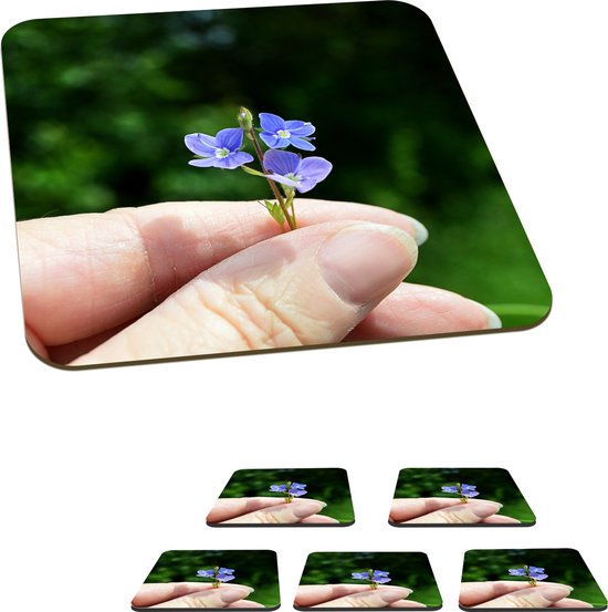 Die Stadtgärtner - Vergeet me niet ! Vergeet-me-nietjes Bloemenzaadjes - Cadeau Idee Brievenbus | Leuke Post | , Huisparfum - Wellness - Verzorging