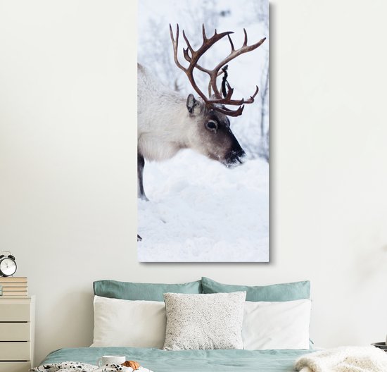 Tableau sur toile Une image de Noël de rennes sur les routes du Kilpisjarvi finlandais - 80x160 cm - Décoration murale