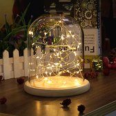 Ofairy® Glazen Stolp op Hout - Glazen Stolp Decoratie - Glazen Stolp op Voet - Glazen Stolp met Verlichting - 20 LED Lichtsnoer