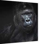 Silverback gorilla op zwarte achtergrond - Foto op Dibond - 40 x 40 cm