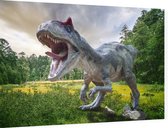 Dinosaurus T-Rex in grasland - Foto op Dibond - 60 x 40 cm