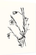 Geelhartje zwart-wit (Linum Cartharticum) - Foto op Dibond - 60 x 80 cm