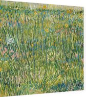 Grasgrond, Vincent van Gogh - Foto op Dibond - 60 x 60 cm