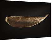 Gouden blad op zwarte achtergrond - Foto op Dibond - 60 x 40 cm