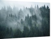 Misty Forest - Foto op Dibond - 60 x 40 cm