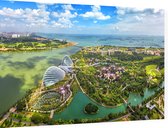 Luchtfoto van de Supertree Grove van Singapore - Foto op Dibond - 90 x 60 cm