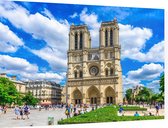 Kathedraal van de Notre-Dame in centrum van Parijs - Foto op Dibond - 90 x 60 cm