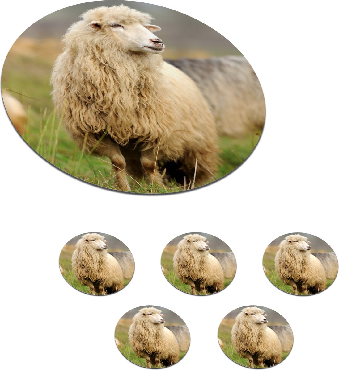 Onderzetters voor glazen - Rond - Schaap - Wol - Gras - 10x10 cm - Glasonderzetters - 6 stuks