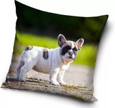 Hond, Puppy Sierkussens - Kussen - 40 x 40 inclusief vulling - Kussen van Polyester - KledingDroom®