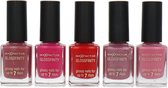 Max Factor Glossfinity Nagellak - Set C (set van 5)