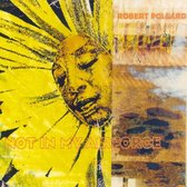 Robert Pollard - Not In My Airforce (LP)