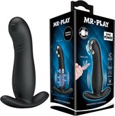 Mr. Play - prostaatvibrator plus remote 12,7 cm