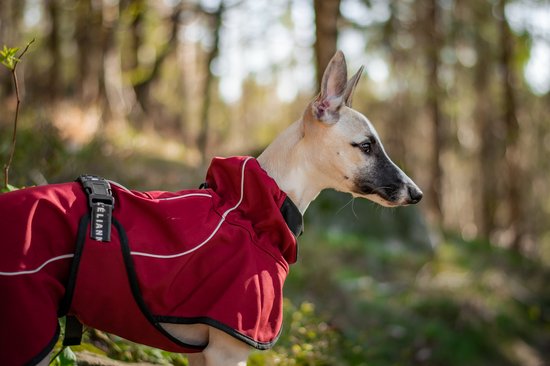 L'élianne ®: Honden Regenjas- Regenjas Hond - Hondenkleren - Hondenkleding - Hondenjas Regen - SIZE XL