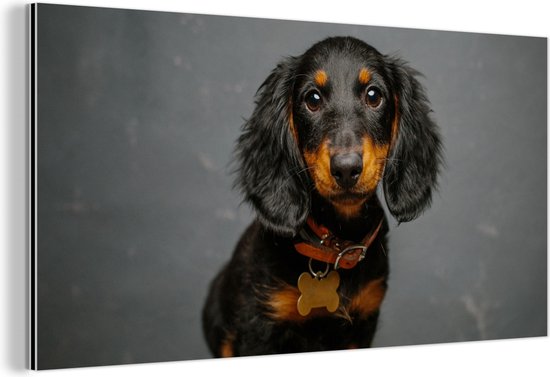 SUPERDANT Hond metalen tinnen bord retro schattig puppy bedrijf